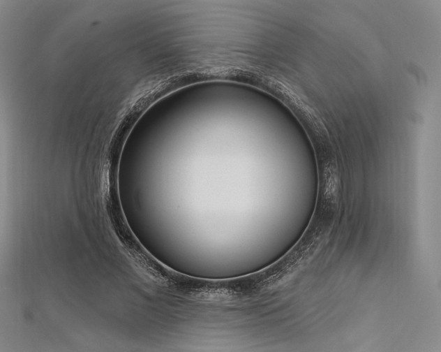 X0000112720685200908201248