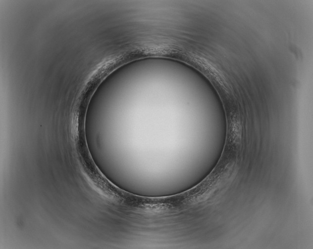 X0000112720686200908201248