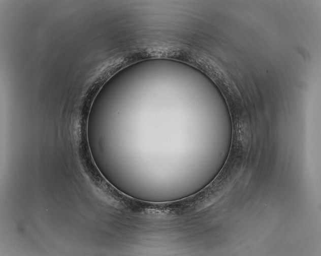 X0000112720690200908201248