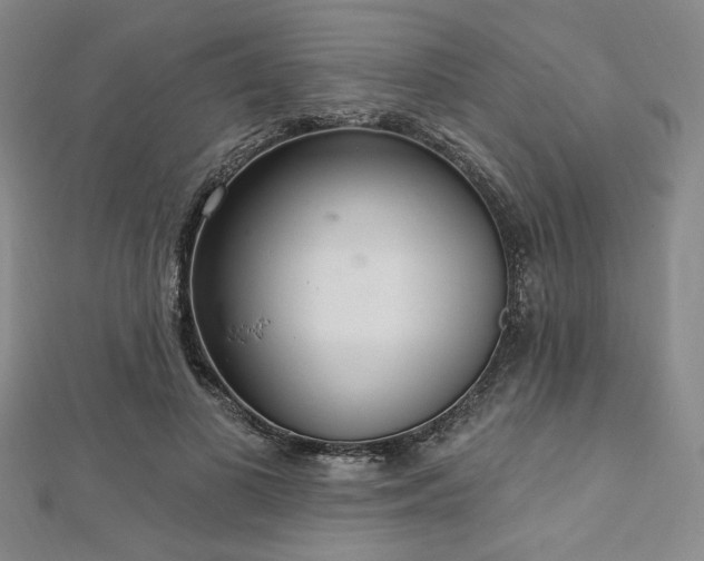 X0000112720693200908201248