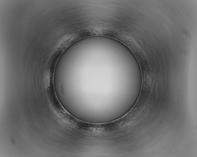 X0000112720694200908201248