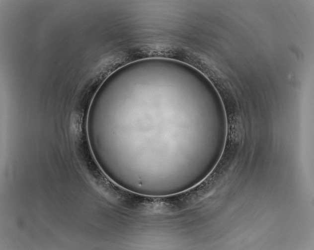 X0000112720695200908201248