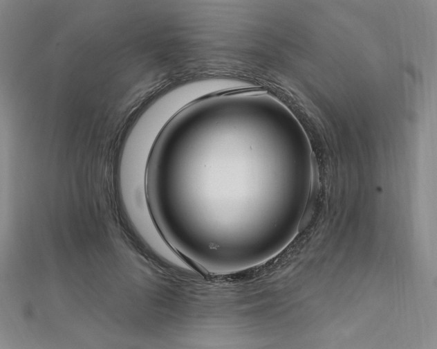 X0000112720696200908201248