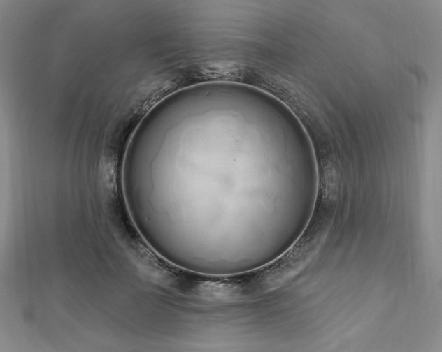 X0000112720699200908201248