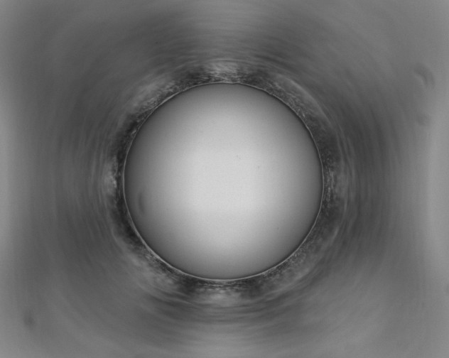X0000112720702200908201248