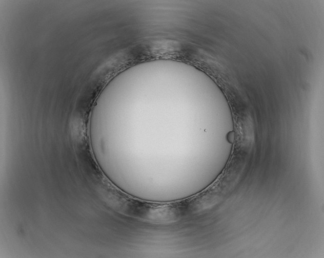 X0000112720705200908201248