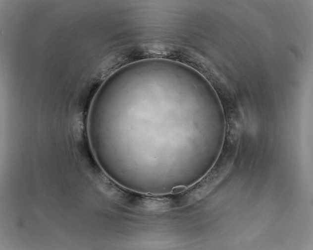 X0000112720707200908201248