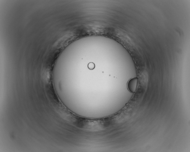 X0000112720709200908201248