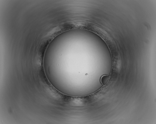 X0000112720710200908201248