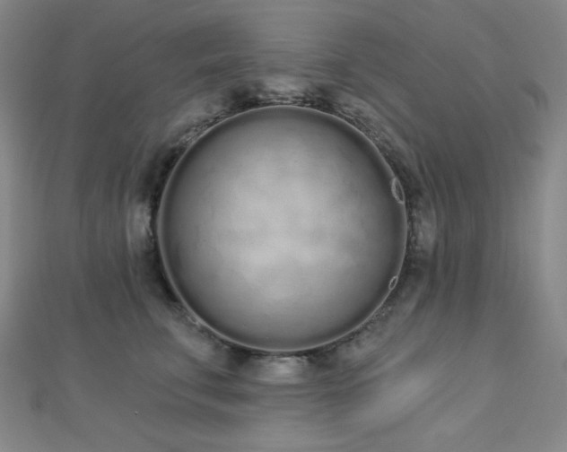 X0000112720711200908201248