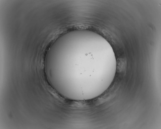 X0000112720713200908201248