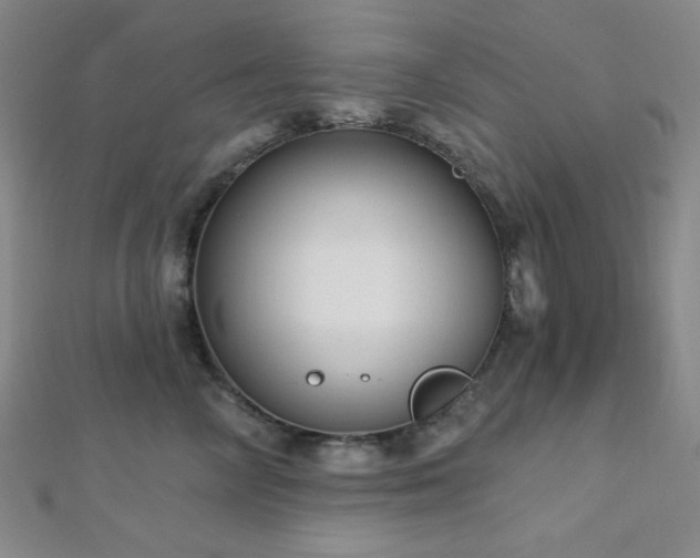 X0000112720714200908201248