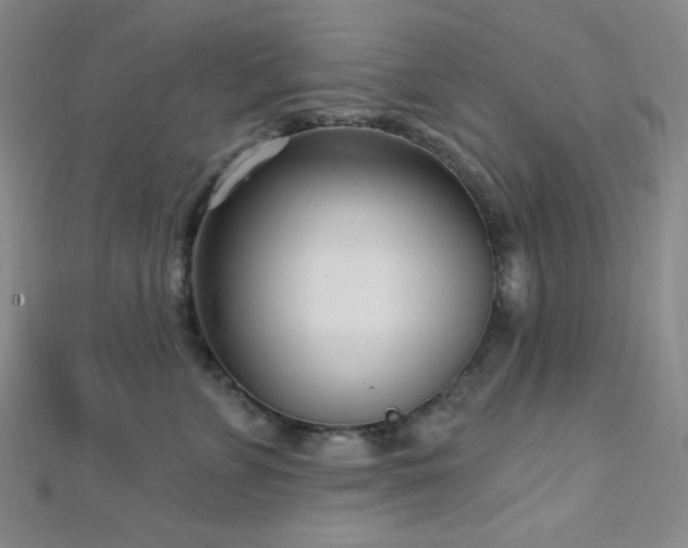 X0000112720715200908201248