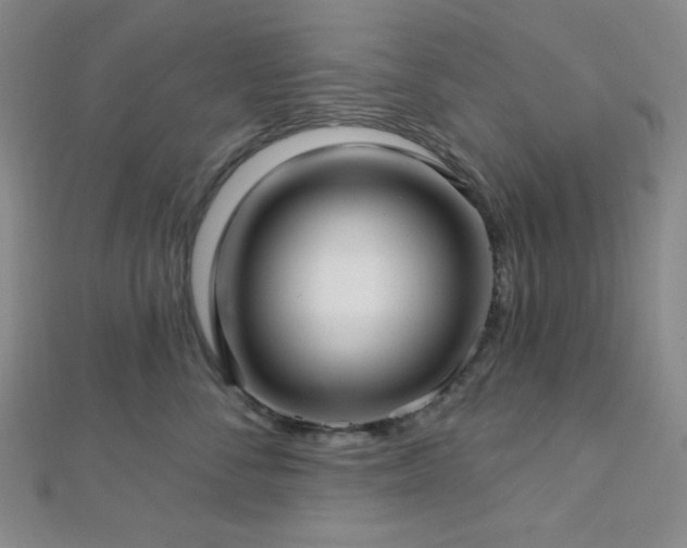 X0000112720716200908201248