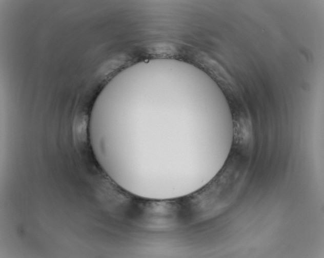X0000112720717200908201248