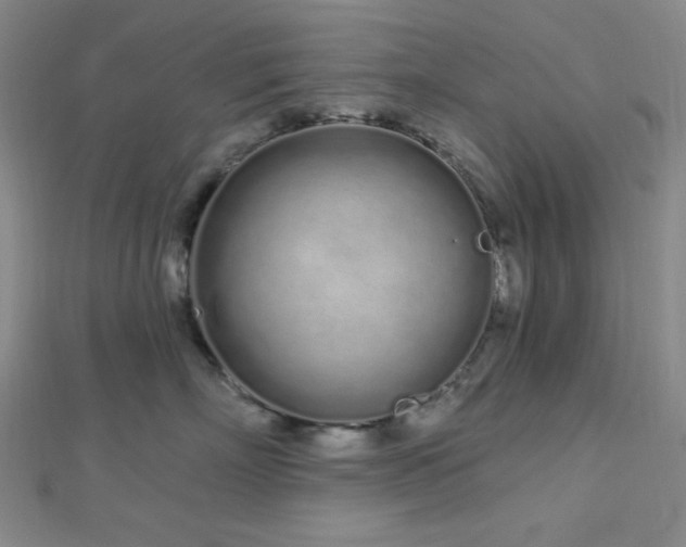 X0000112720718200908201248