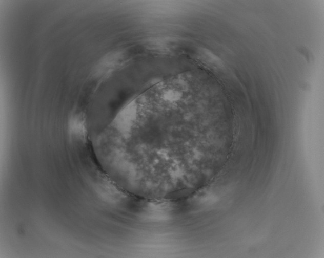 X0000112720720200908201248
