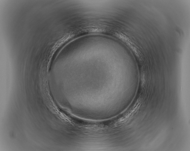 X0000112720721200908201247