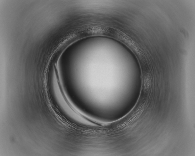 X0000112720722200908201247