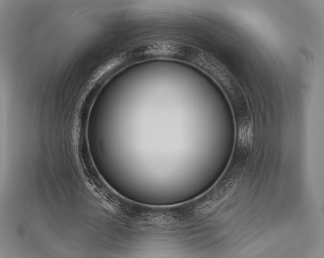 X0000112720724200908201247