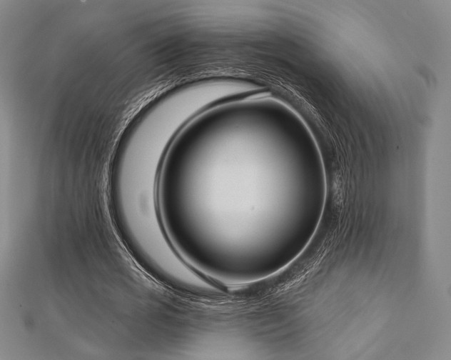 X0000112720725200908201247