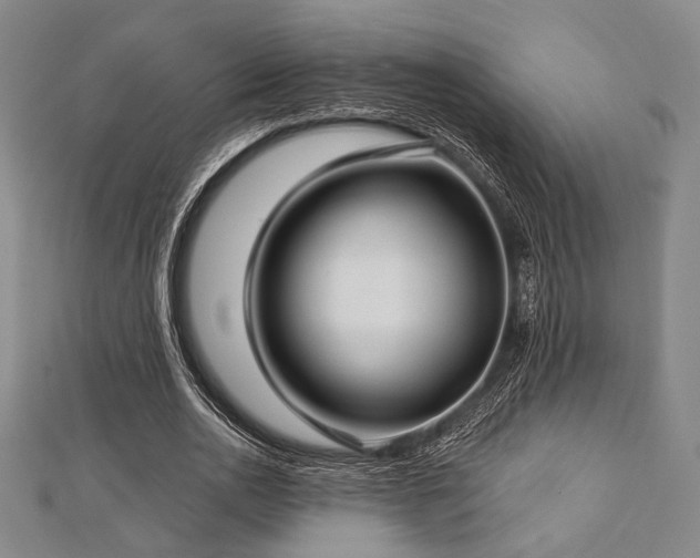 X0000112720726200908201247