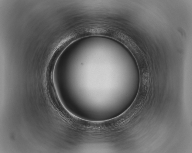 X0000112720727200908201247