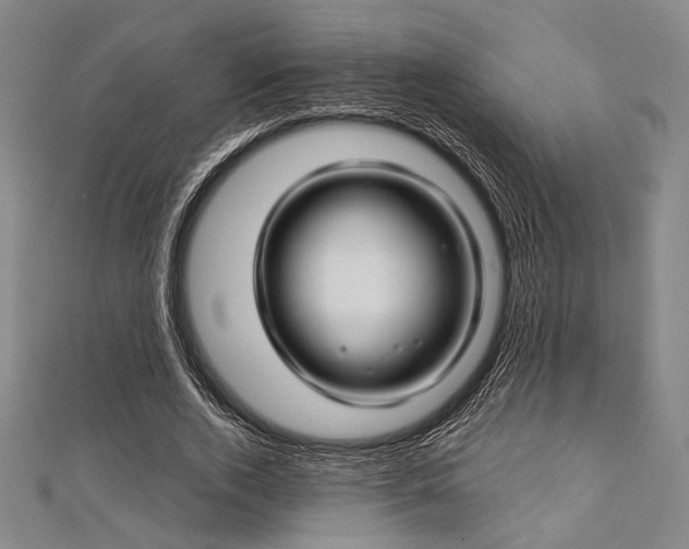 X0000112720728200908201247