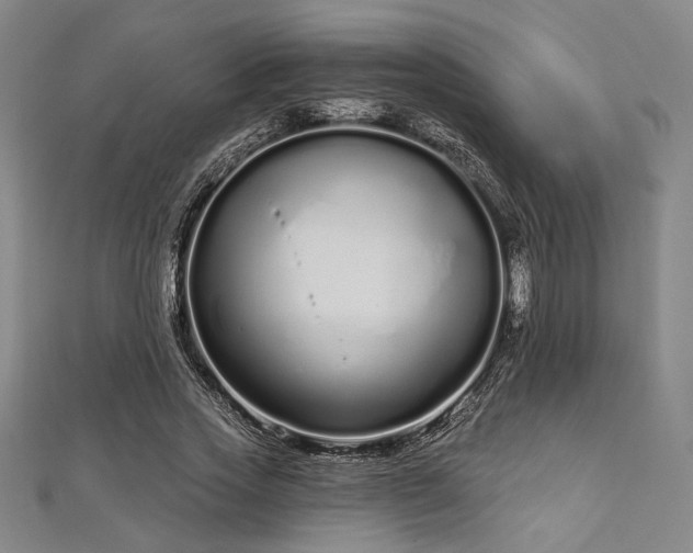 X0000112720733200908201247