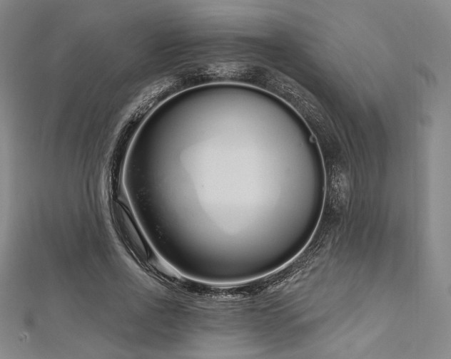 X0000112720734200908201247