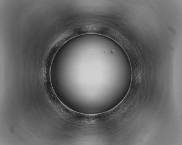X0000112720735200908201247