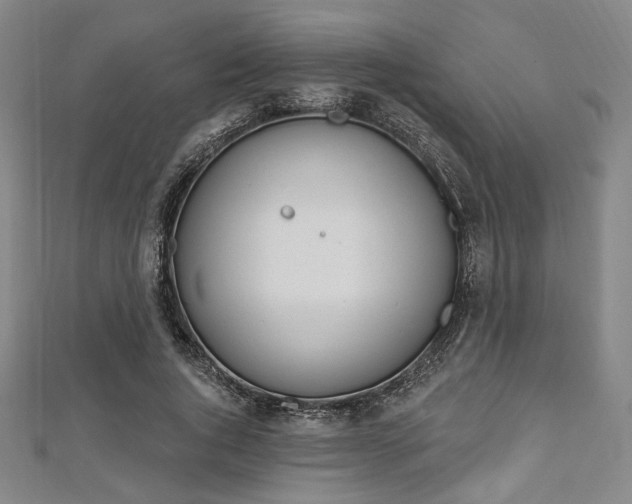 X0000112720736200908201247