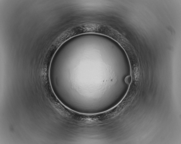 X0000112720737200908201247
