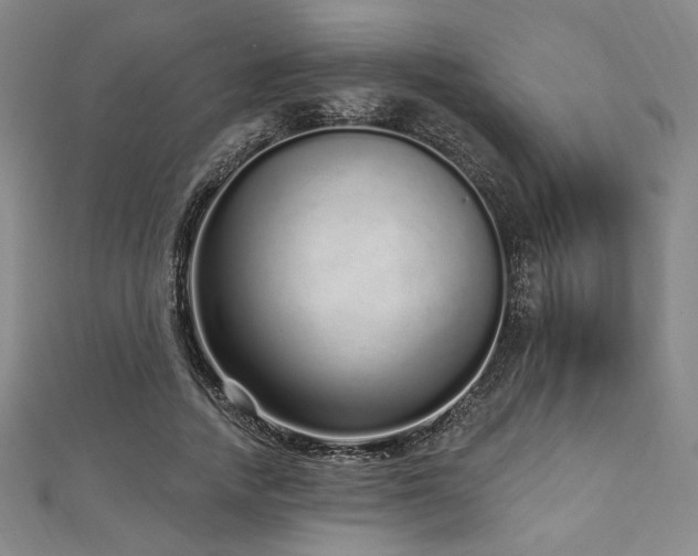 X0000112720738200908201247