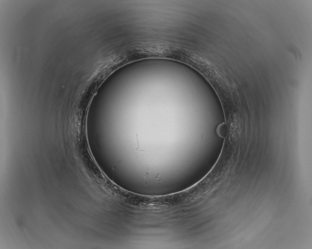 X0000112720739200908201247