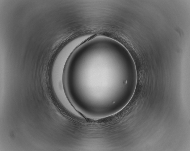 X0000112720740200908201247