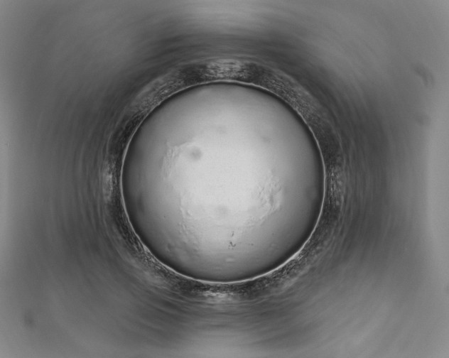 X0000112720741200908201247