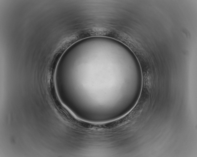 X0000112720742200908201247