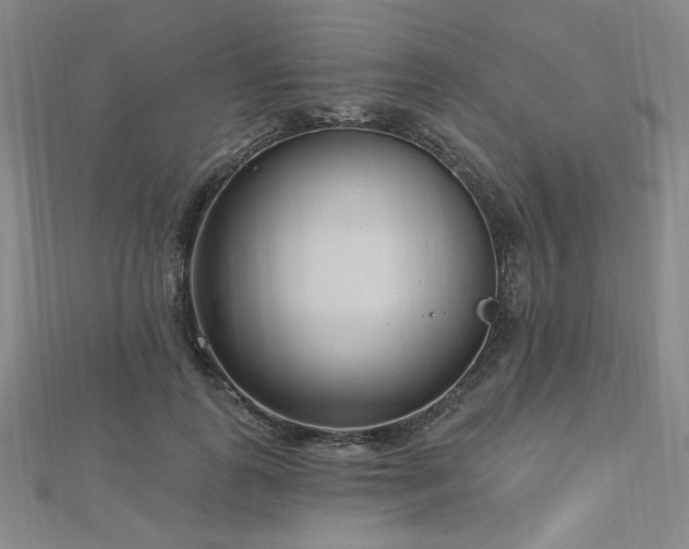X0000112720747200908201247