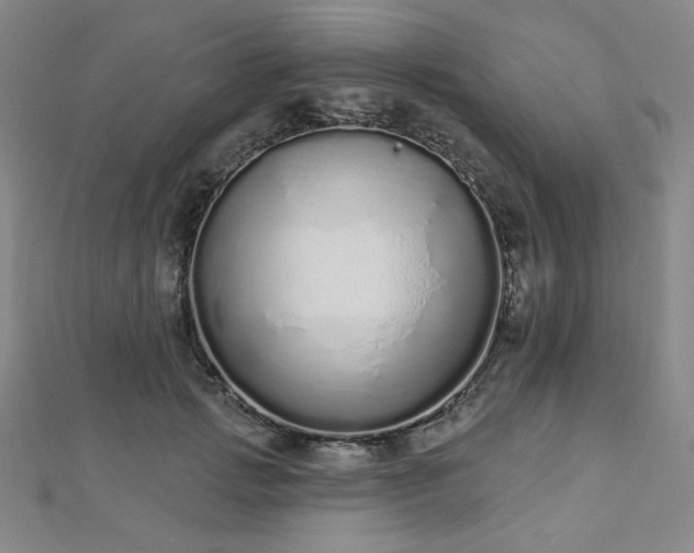 X0000112720749200908201247