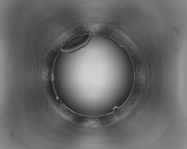 X0000112720750200908201248