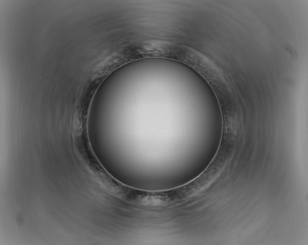 X0000112720751200908201248