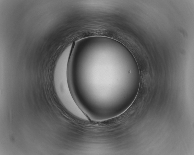 X0000112720752200908201248