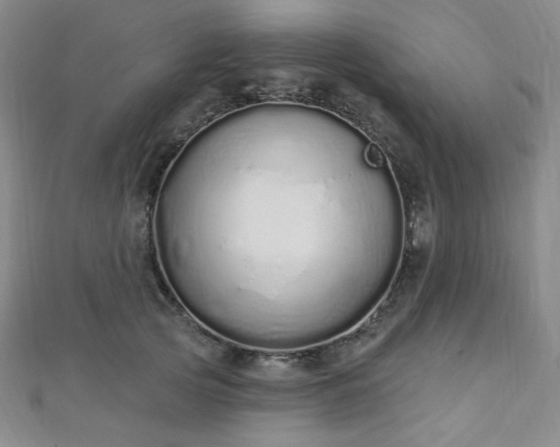 X0000112720753200908201248