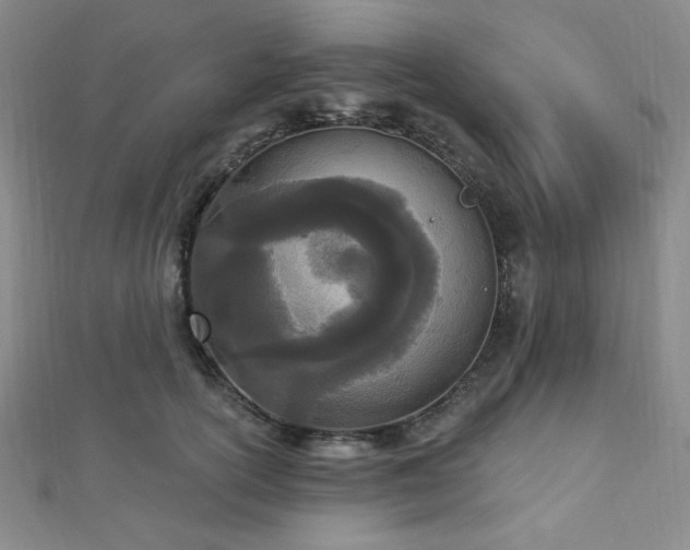 X0000112720754200908201248