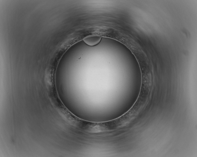 X0000112720755200908201248