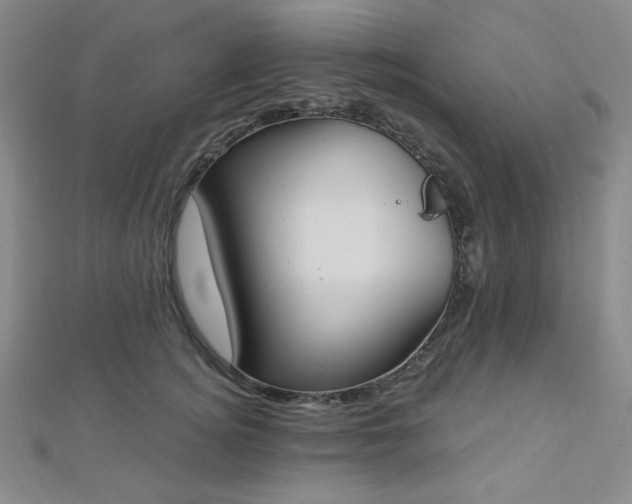 X0000112720756200908201248