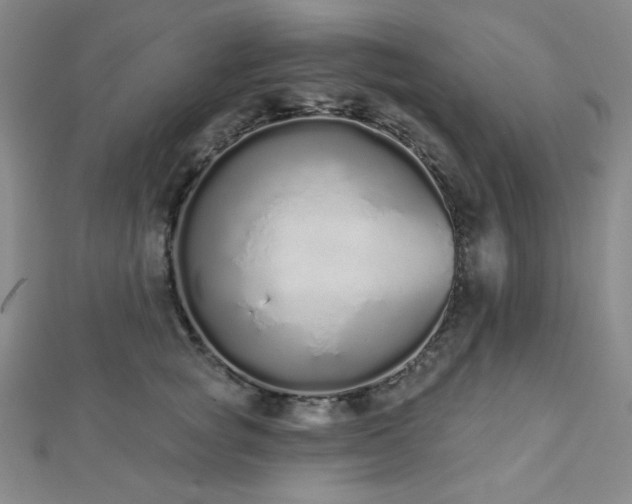 X0000112720757200908201248