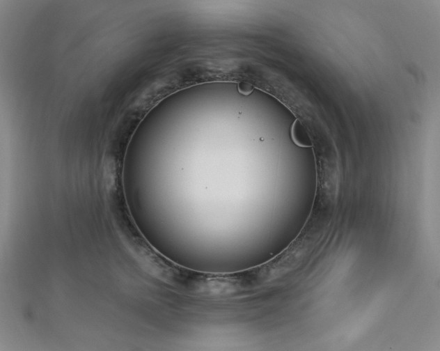 X0000112720758200908201248