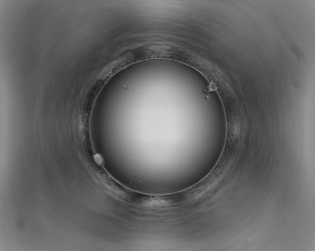 X0000112720759200908201248